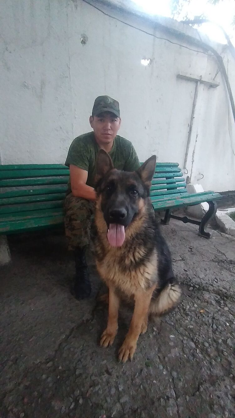 ���������� ������, ���� ������� Kabyr, 34 ����, ������������ ��� ������, ����� � ���������, c�������� ���������