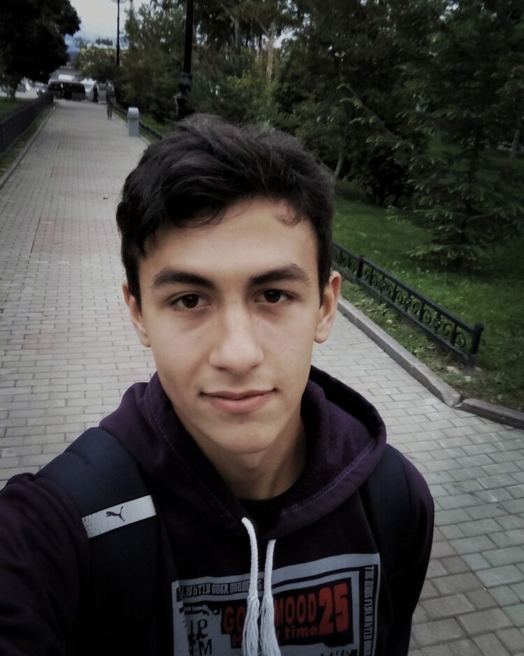  8305294  , 27 ,    -