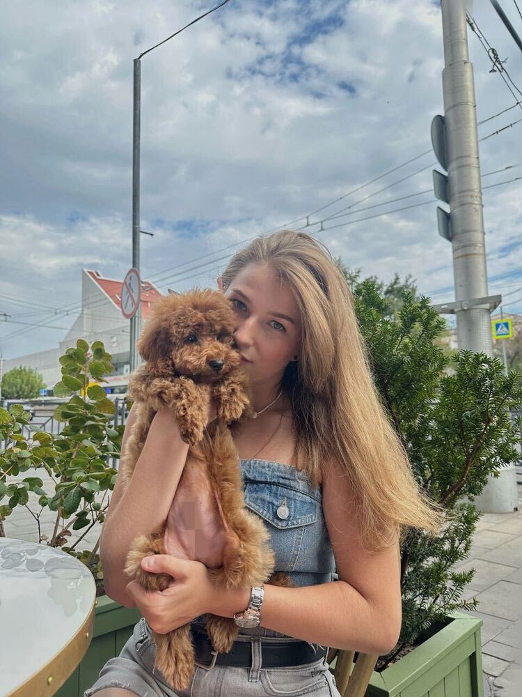 ���� 49219314 ������� ��������, 20 ���, ���� ���������� � ������