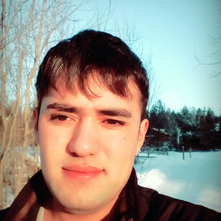 ���� 11186934 ������� ��������, 31 ���, ���� ���������� � ������