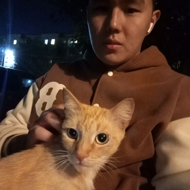 ���� 55996534 ����� �����, 18 ���, ���� ���������� � ������