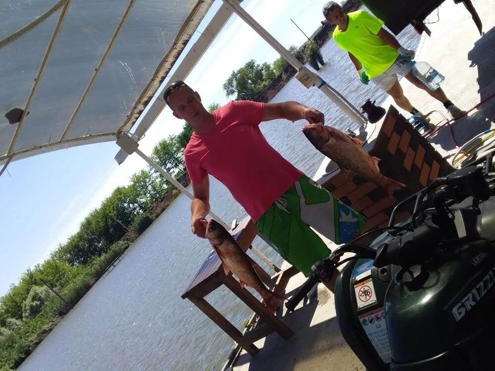 ���� 55298884 ������� �������, 38 ���, ���� ���������� � ��������