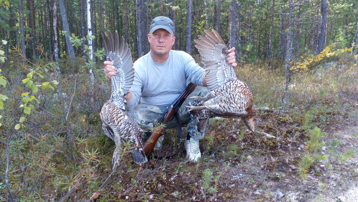 ���������� ������, ���� ������� �������, 54 ����, ������������ ��� ������, ����� � ���������, c�������� ���������