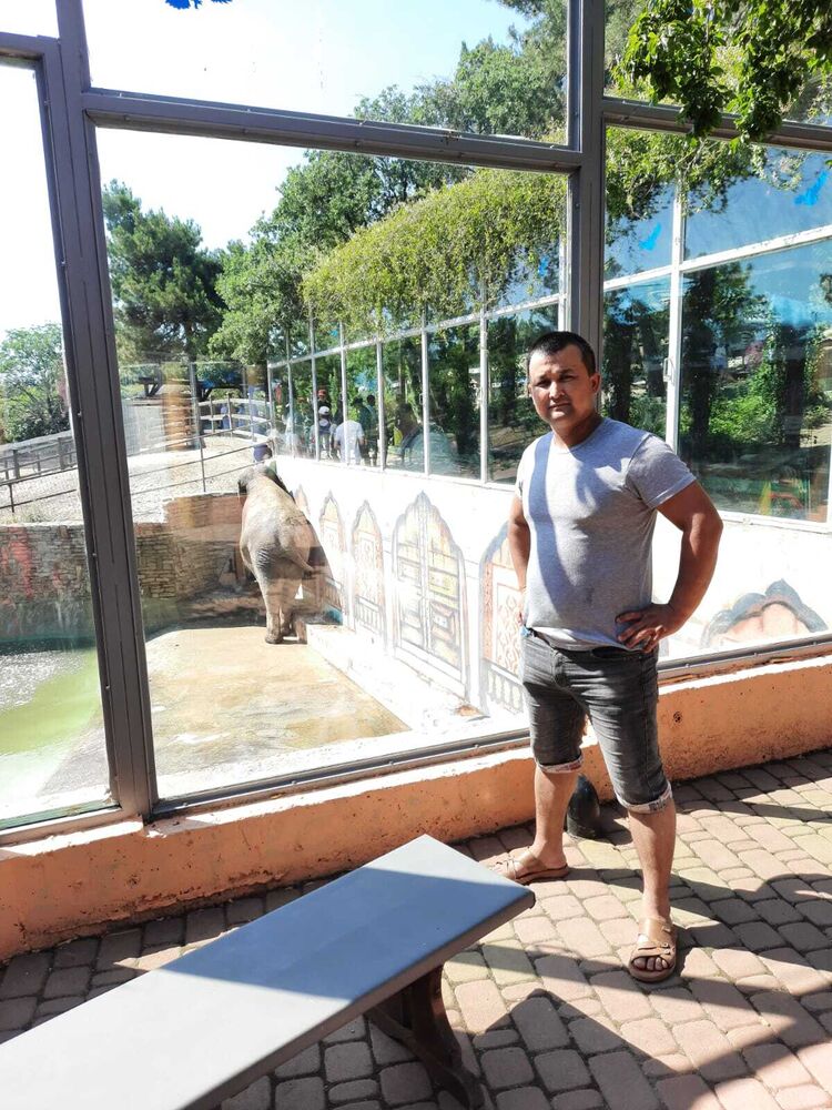 ���� 28914864 ������� Tulkin, 35 ���, ���� ���������� � ������