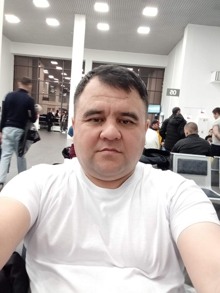  33507134  , 43 ,    