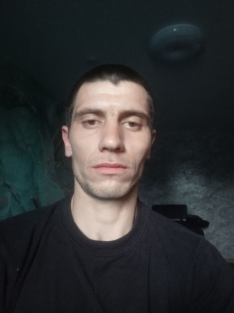  43750084  , 31 ,    