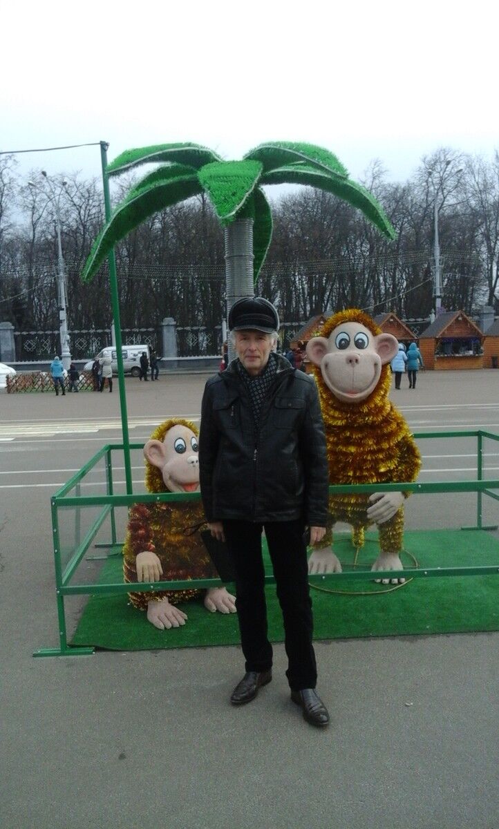  6918344  Odinokov2016, 65 ,    
