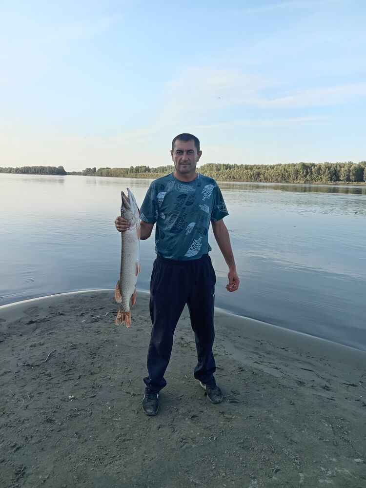 ���������� �������, ���� ������� �����, 38 ���, ������������ ��� ����� � ���������, c�������� ���������