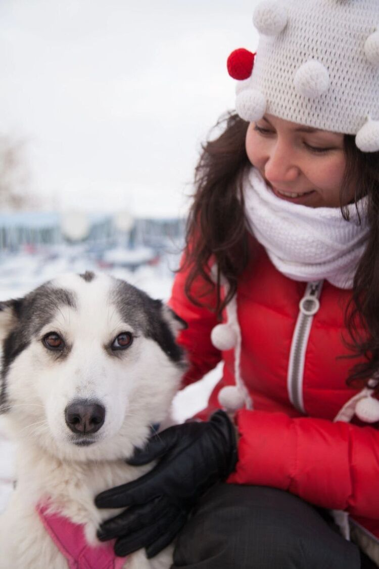 ���������� ����, ���� ������� ���������, 38 ���, ������������ ��� ������, ����� � ���������, c�������� ���������