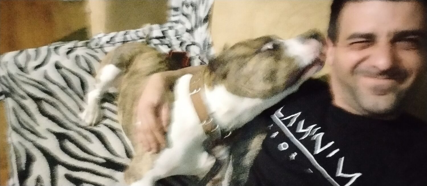 ���������� ������, ���� ������� ����, 36 ���, ������������ ��� ������, ����� � ���������, c�������� ���������, ���������