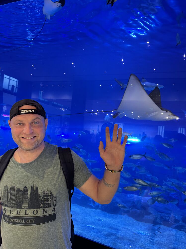 ���������� �����, ���� ������� �������, 44 ����, ������������ ��� ������, ����� � ���������, c�������� ���������, ���������