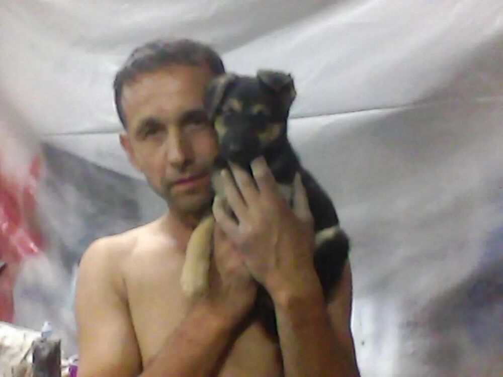  ,    , 38 ,   ,   