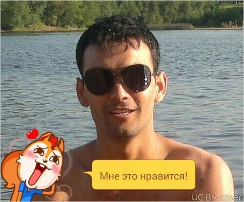  8184244  , 36 ,    