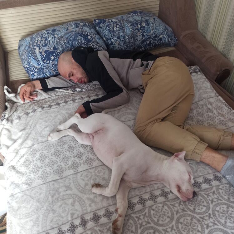  ,   Zzz, 29 ,   ,   