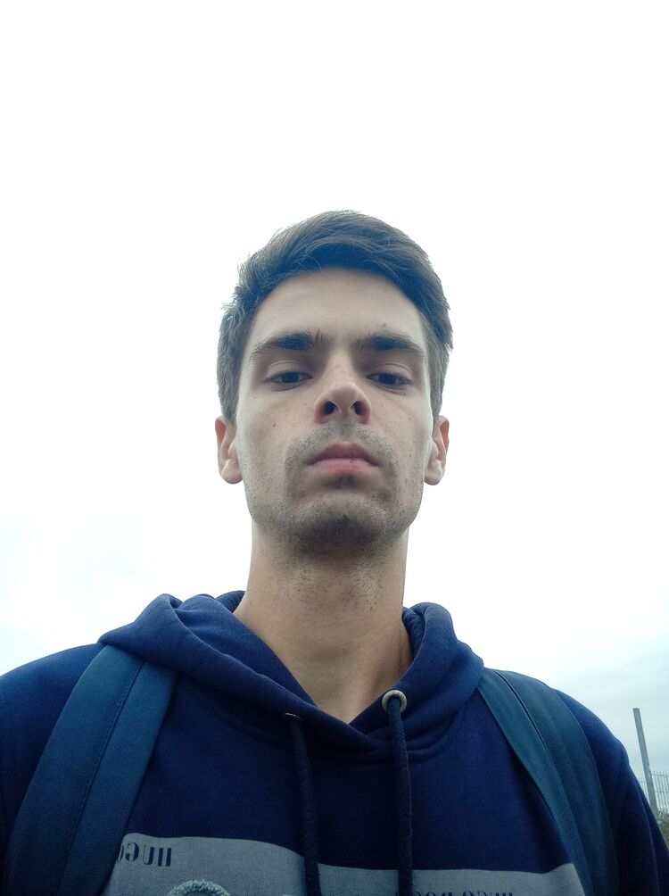  29432984  , 24 ,    