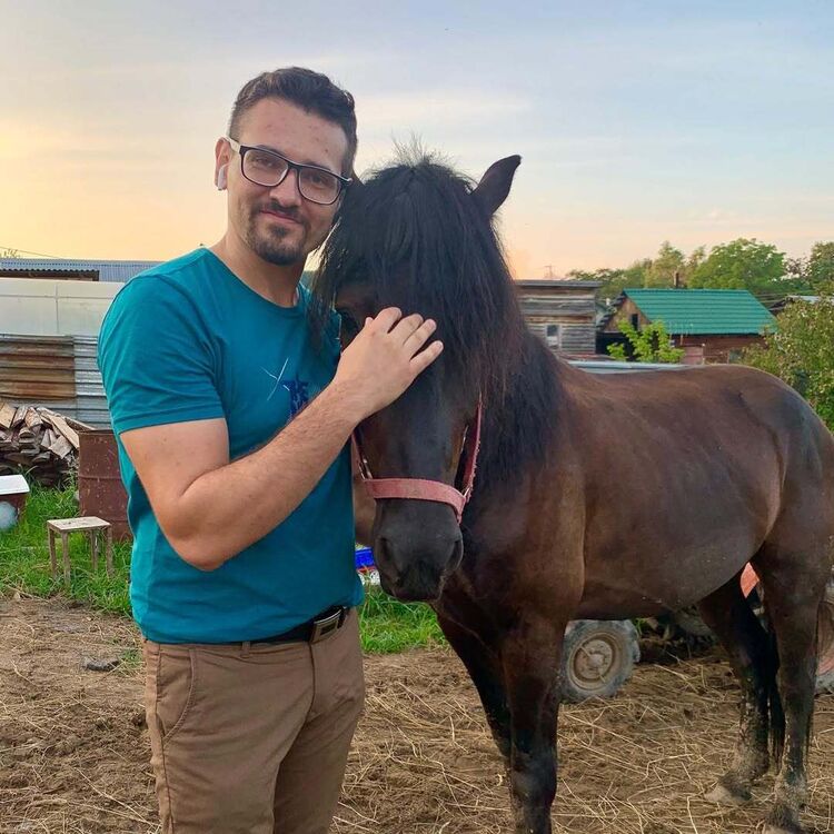  53402924  , 37 ,    -