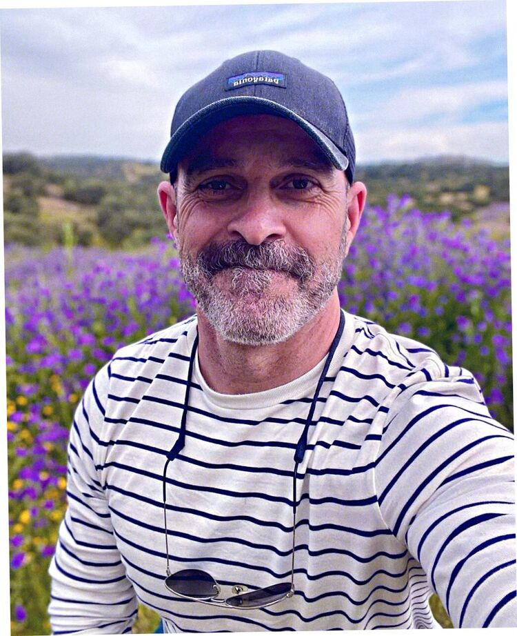 ���� 55216734 ������� �������, 55 ���, ���� ���������� � ������������