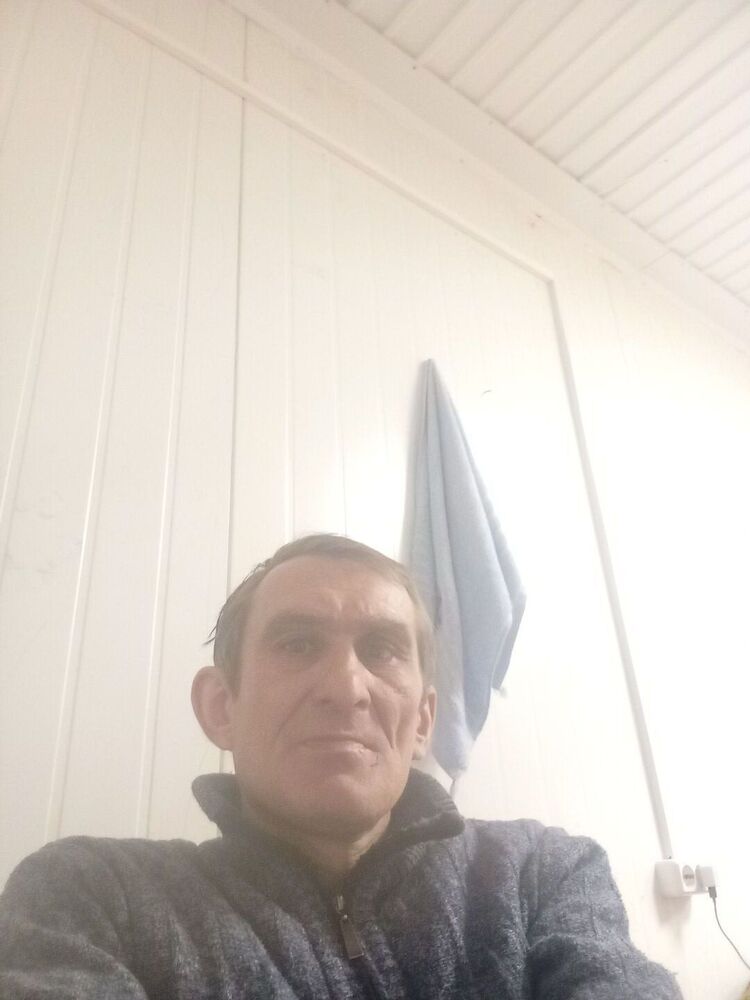  50869114  , 41 ,    