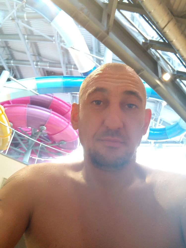  50491764  , 44 ,    