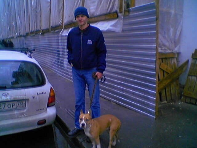  45759044  Sergo, 36 ,    