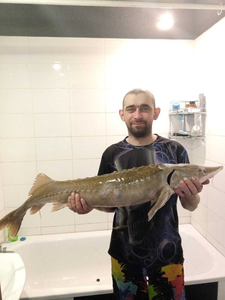 ���� 54075704 ������� ����, 38 ���, ���� ���������� � ���������