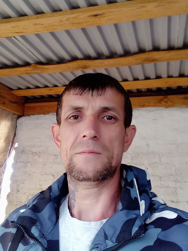  30799044  , 43 ,    
