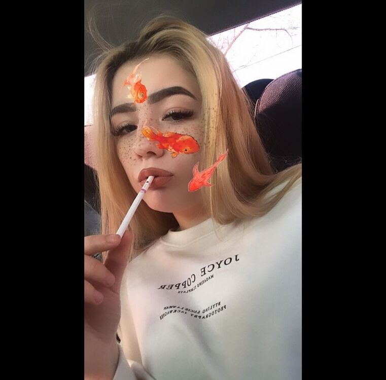  24992454  , 25 ,    