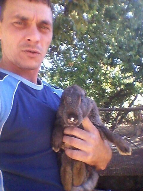 ���������� �������, ���� ������� ������, 41 ���, ������������ ��� ������