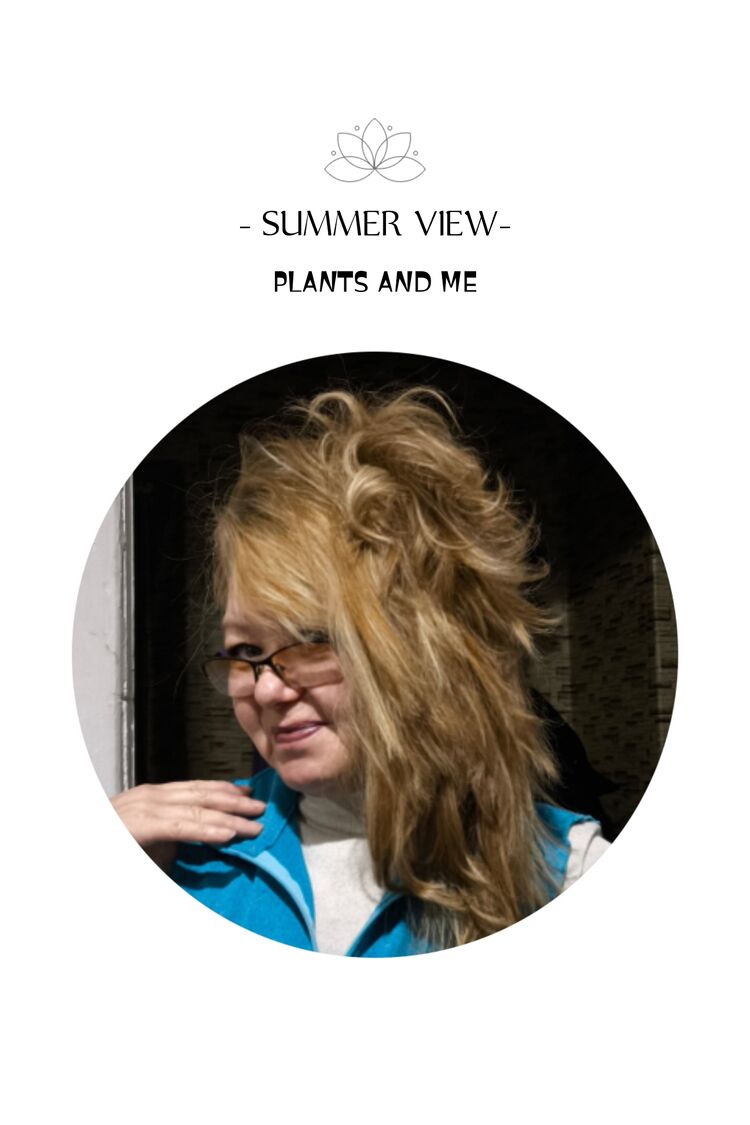 ���������� ������, ���� ������� ���, 56 ���, ������������ ��� c�������� ���������