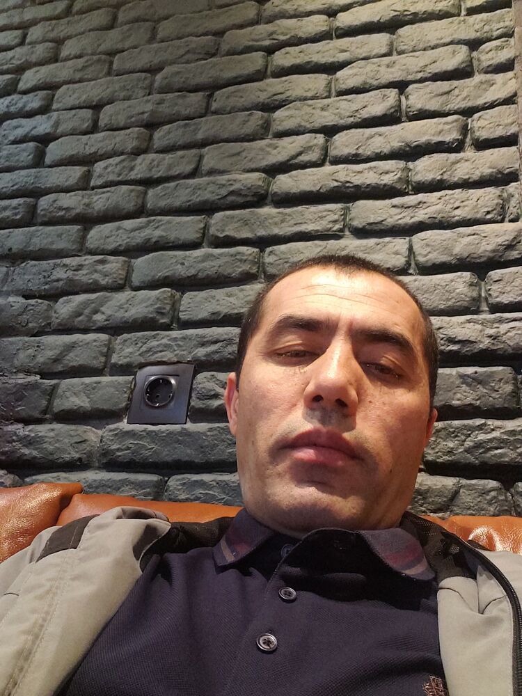  50409584  , 44 ,    