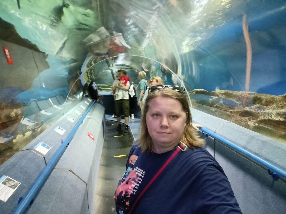  54467534  , 38 ,    -