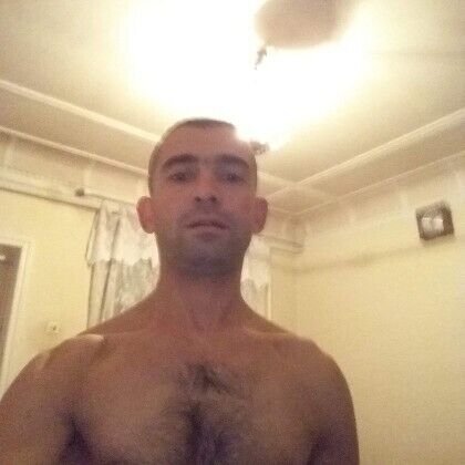 30425464  , 37 ,    