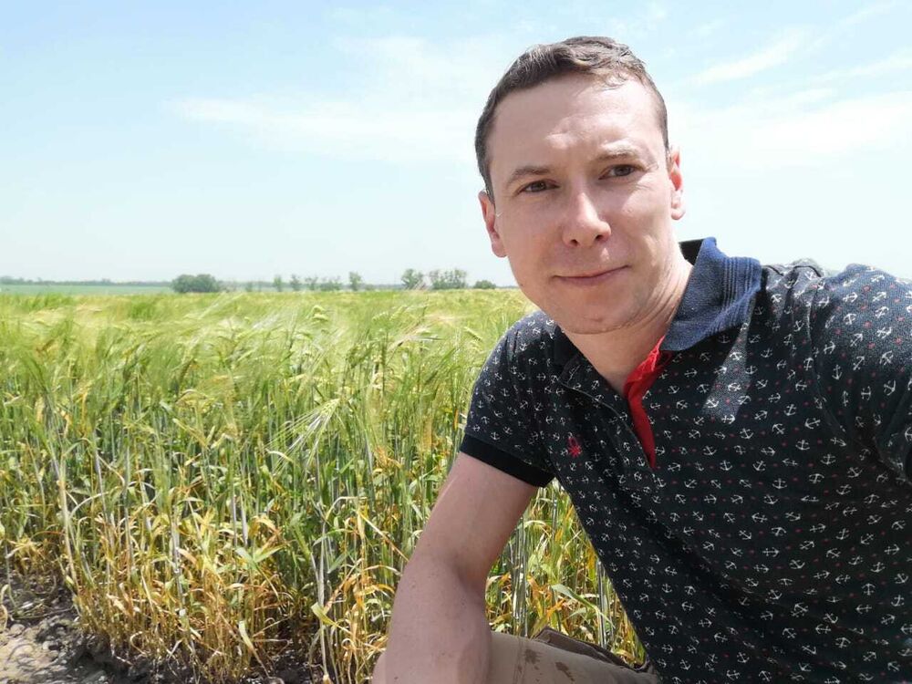 ���� 55101594 ������� �����, 42 ����, ���� ���������� � ����������