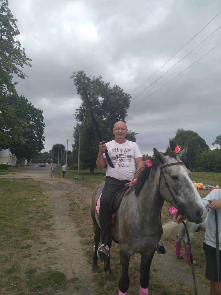  ,   , 56 ,     