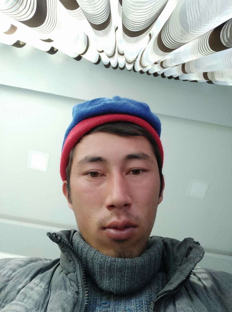 ���� 24379434 ������� ���������, 29 ���, ���� ���������� � ����������