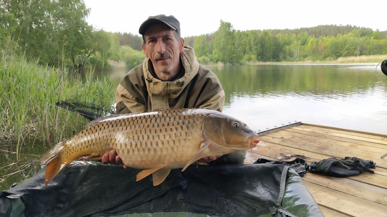 ���� 25289214 ������� ������, 55 ���, ���� ���������� � ������