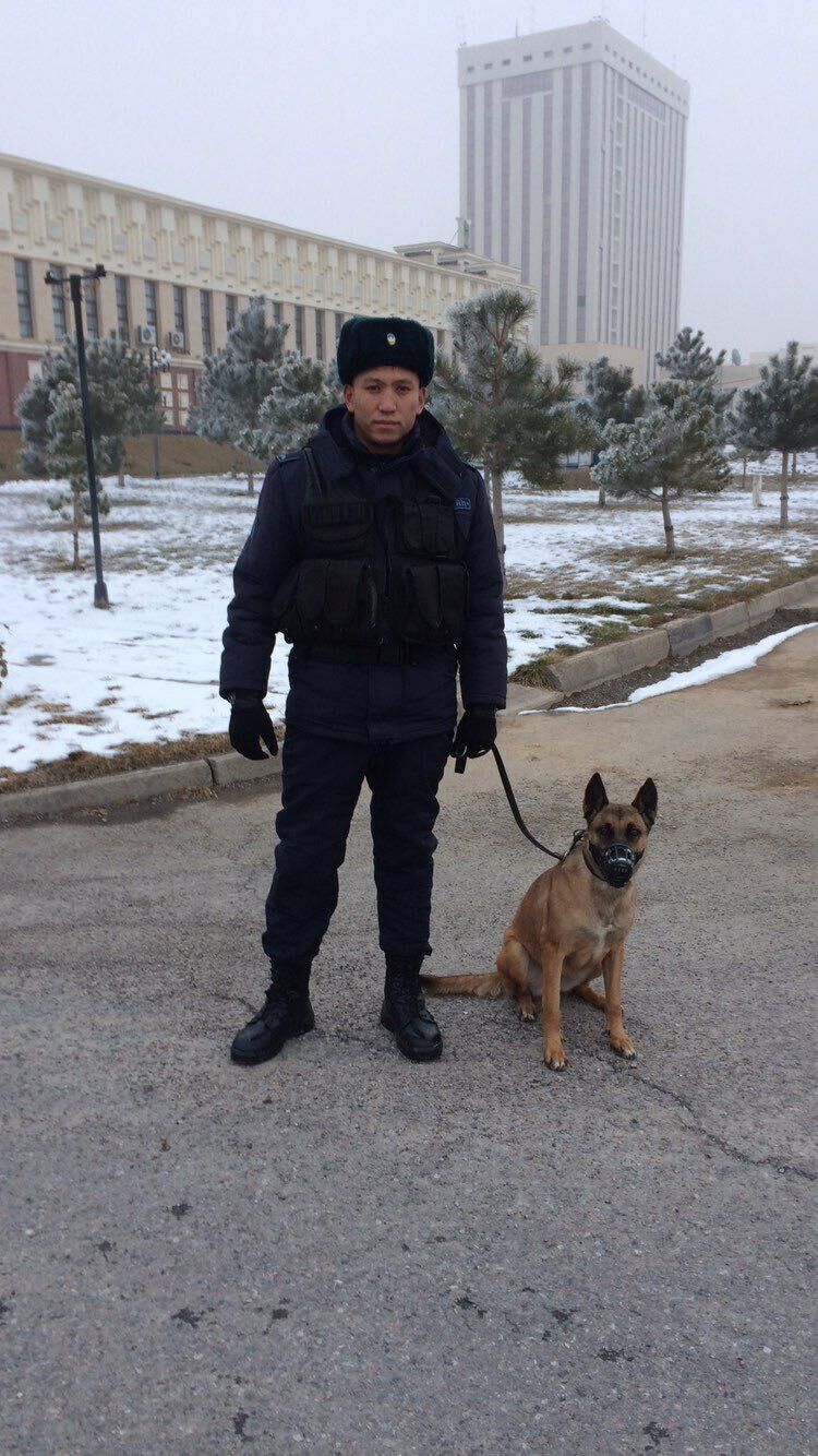 ���� 26796244 ������� ����, 29 ���, ���� ���������� � ��������