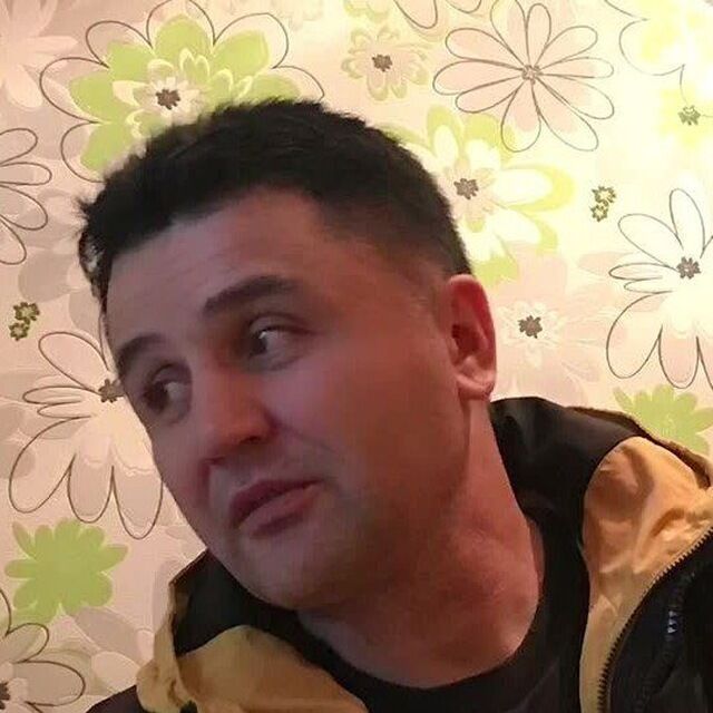 ���� 55669074 ������� SHEDI, 48 ���, ���� ���������� � ����������