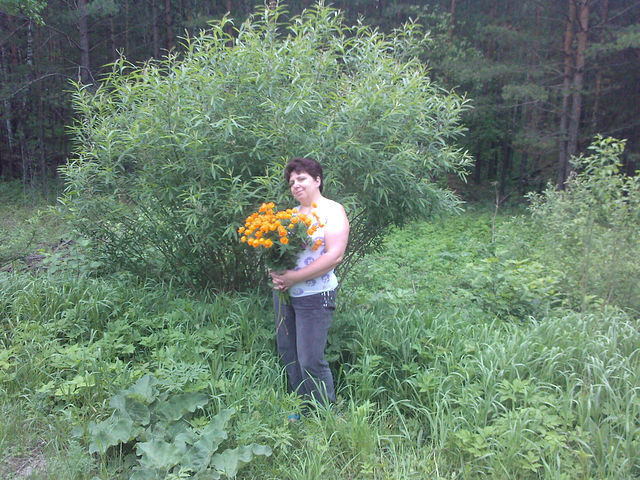  ,   , 61 ,   ,   , c 