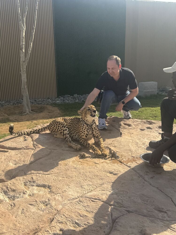 ���������� ������, ���� ������� ����, 44 ����, ������������ ��� ������, ����� � ���������