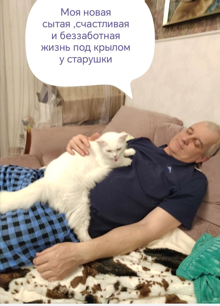  -,   , 51 ,     