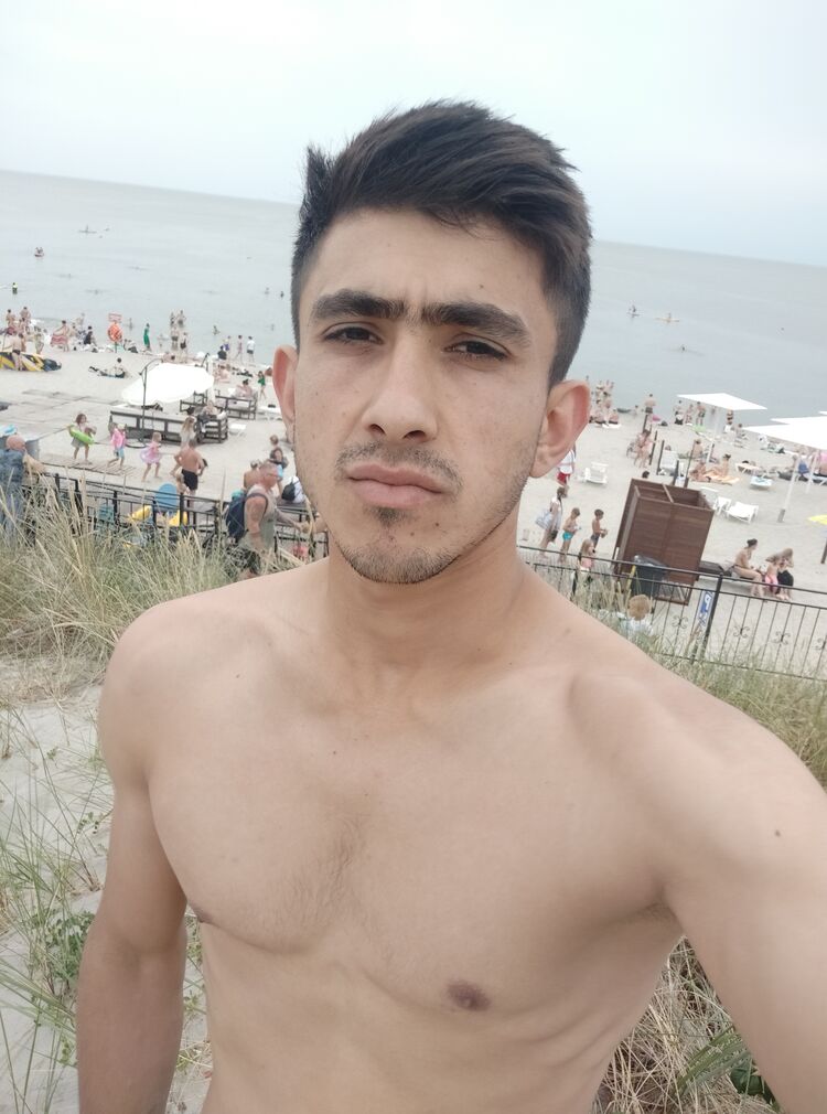  46228704   , 26 ,    