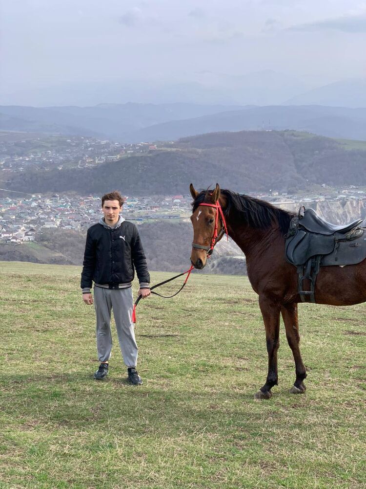 ���������� ���������, ���� ����� �����, 22 ����, ������������ ��� ������, ����� � ���������