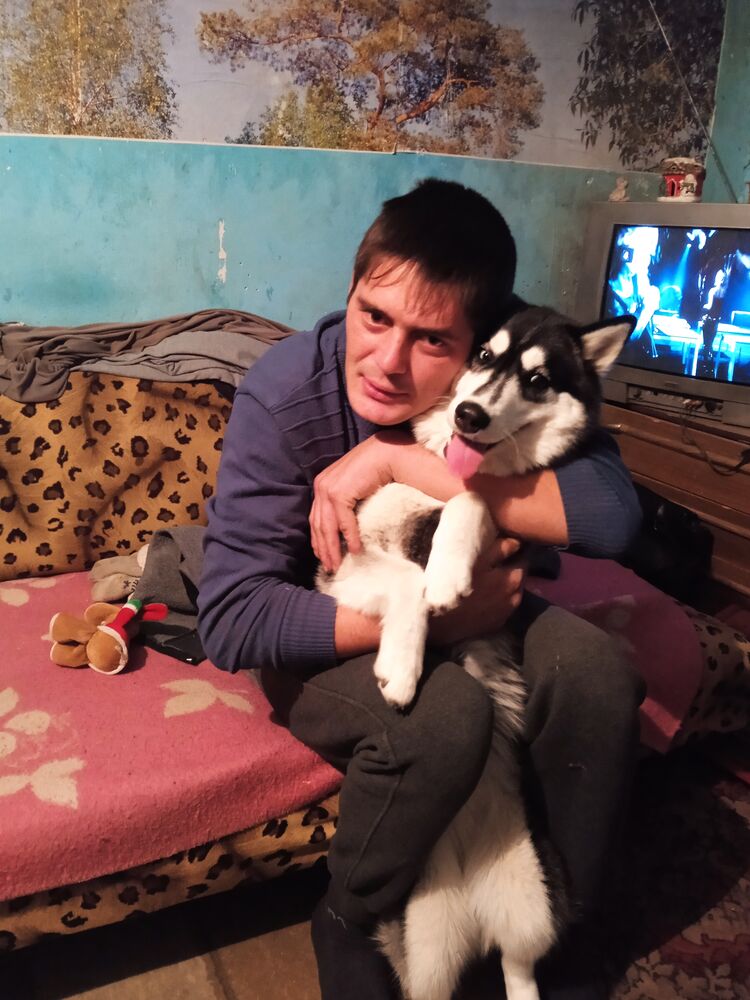 ���� 43240884 ������� �������, 32 ����, ���� ���������� � ����������