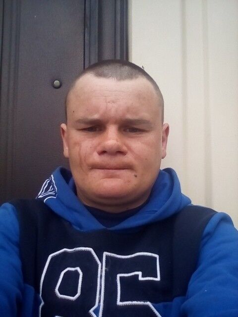  16001564  , 31 ,    