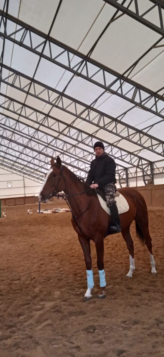 ���� 31290044 ������� ��������, 31 ���, ���� ���������� � �������