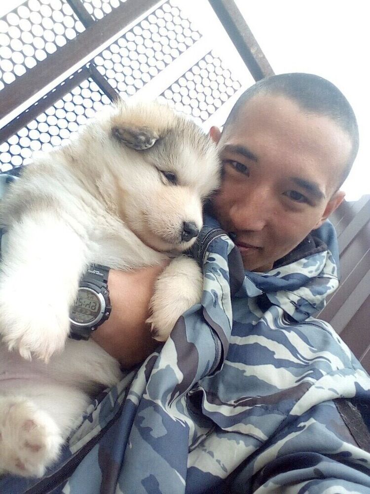 ���� 21019384 ������� ��������, 26 ���, ���� ���������� � ����������