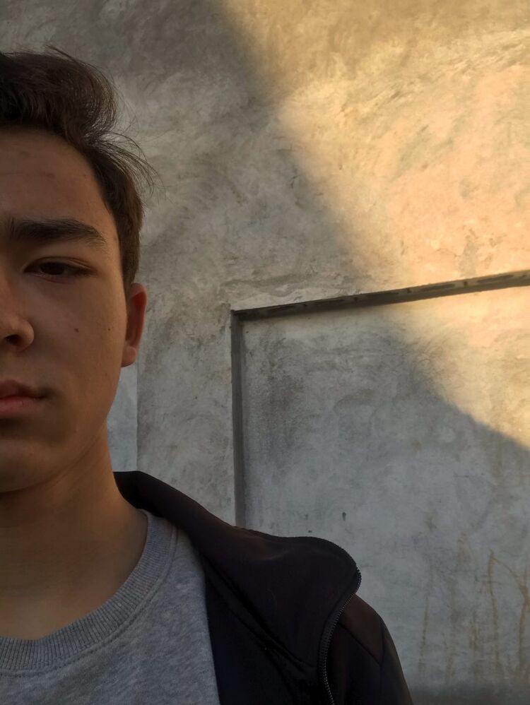 ���� 19534824 ����� ���������, 24 ����, ���� ���������� � ��������