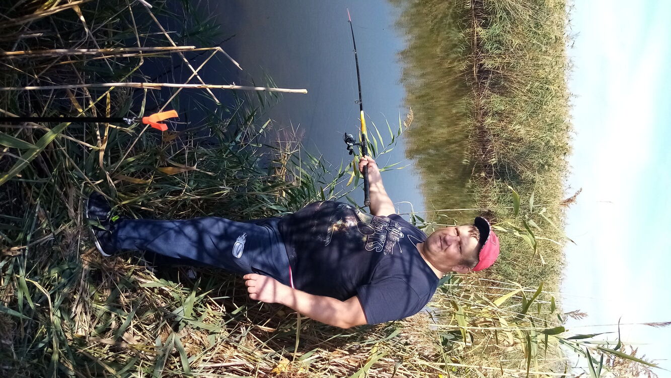 --,   , 43 ,   ,   