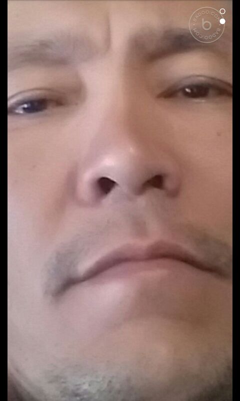  24495354  , 51 ,    